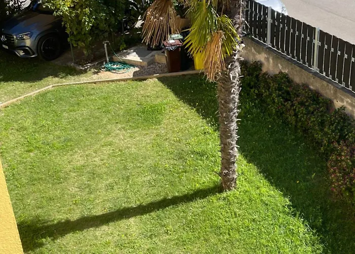 Tom's House Apartament